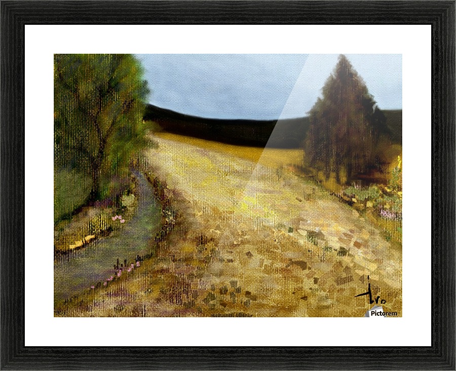 0316 Picture Frame print