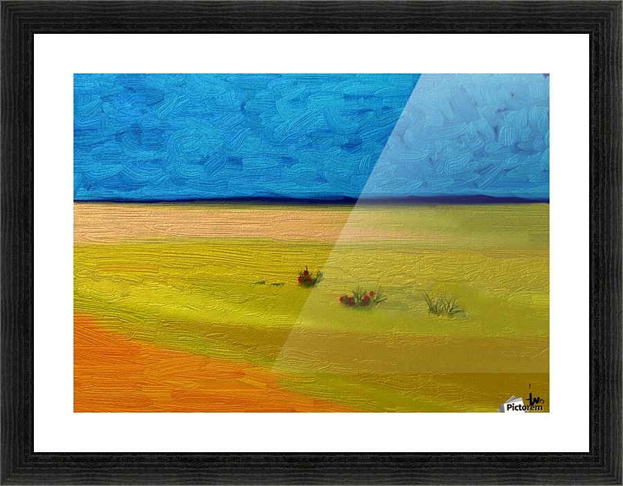 0393 Picture Frame print