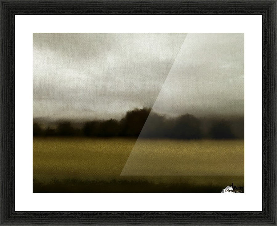 0349 Picture Frame print