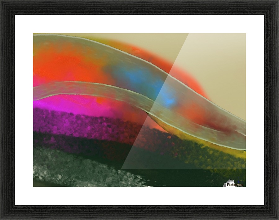 0120 Picture Frame print