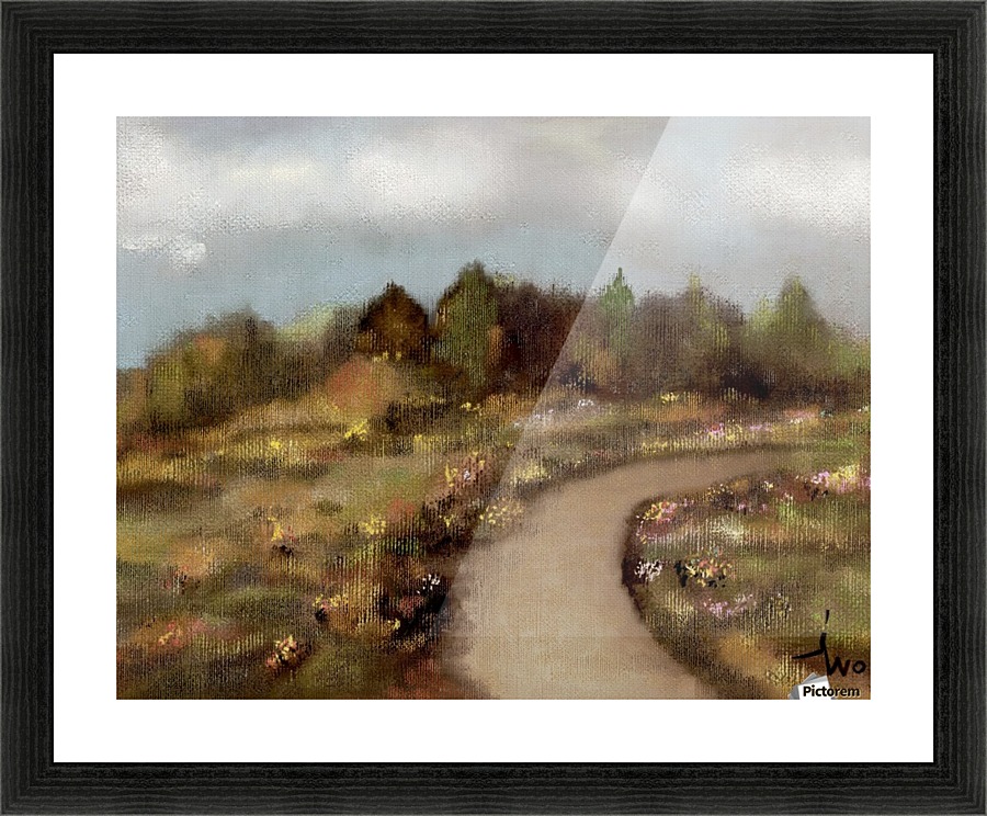 0265 Picture Frame print