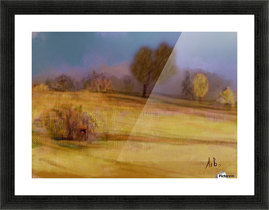 0403 Picture Frame print