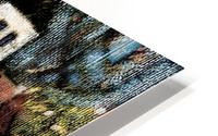 2443 HD Metal print