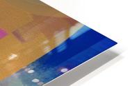0172 HD Metal print