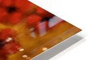 0017 HD Metal print