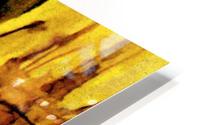 0197 HD Metal print