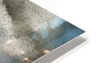 0202 HD Metal print