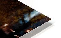 0239 HD Metal print