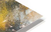 0280 HD Metal print
