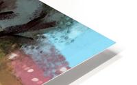0298 HD Metal print