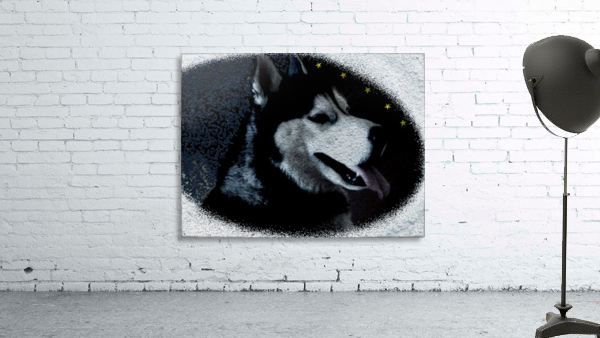 0224 Wall Preview