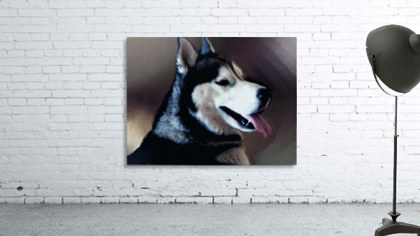 0275 Wall Preview