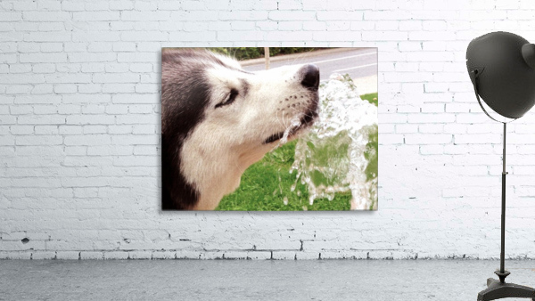0305 Wall Preview