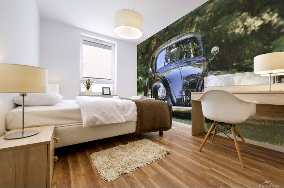 Hermans Towncar Mural print
