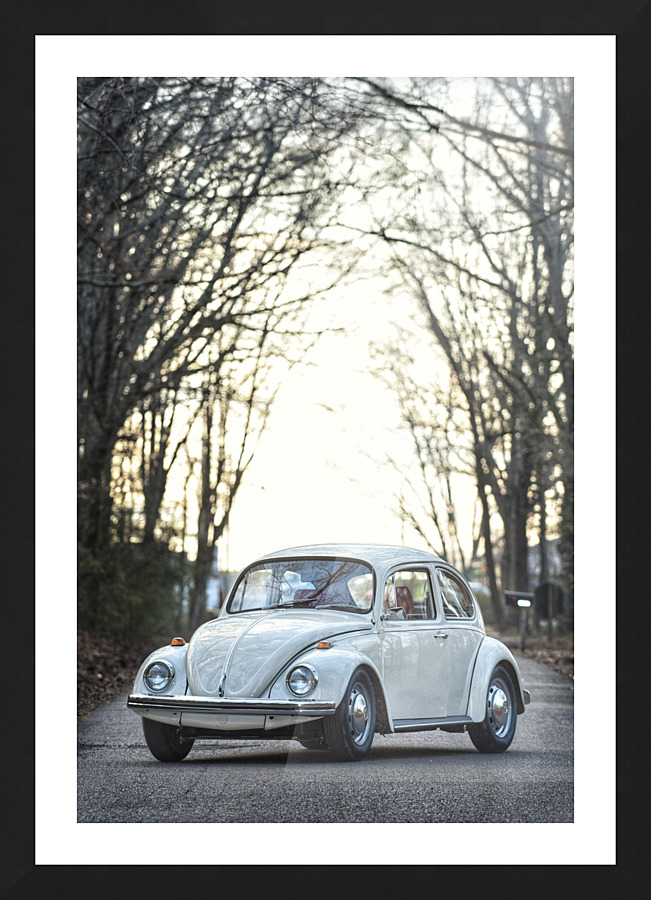 White Out II Picture Frame print