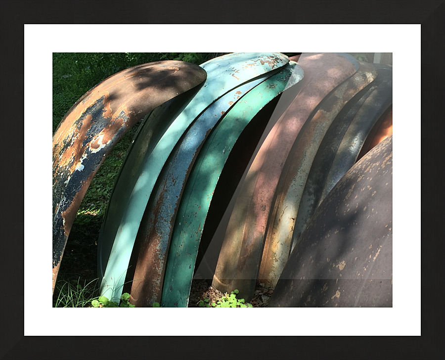 Boneyard Beetlebacks Picture Frame print