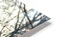 White Out II HD Metal print