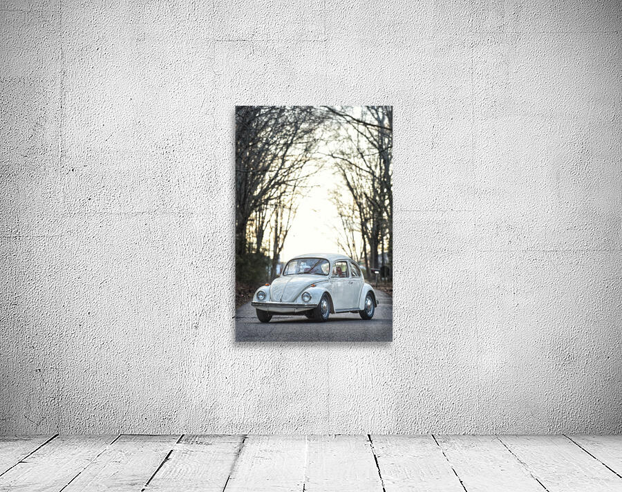 White Out II Wall Preview