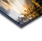 Grand Canyon of the Stikine Canyon Acrylic print