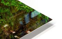 Vetter River Turquoise HD Metal print