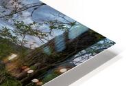 Kitsumkalum Softness Landscape HD Metal print