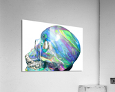 Frozen Skull Acrylic Print