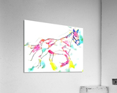 Rainbow Horse  Acrylic Print