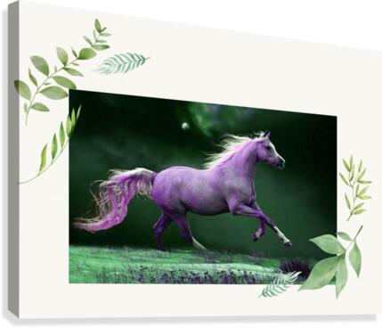 Calm and Free Canvas Print