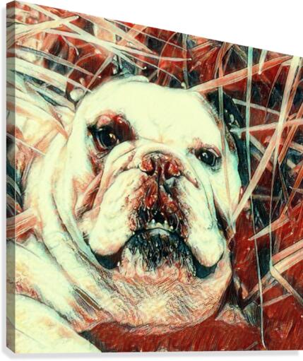 Red Snoop Dog Canvas Print