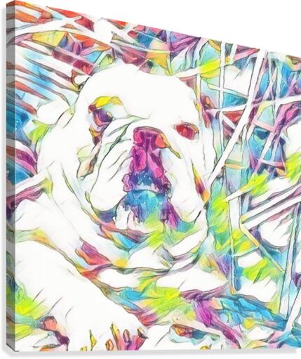 In The Pink Canvas Print