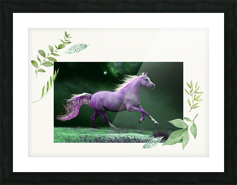 Calm and Free Picture Frame print