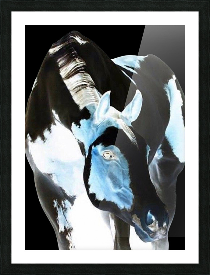 Negative Picture Frame print