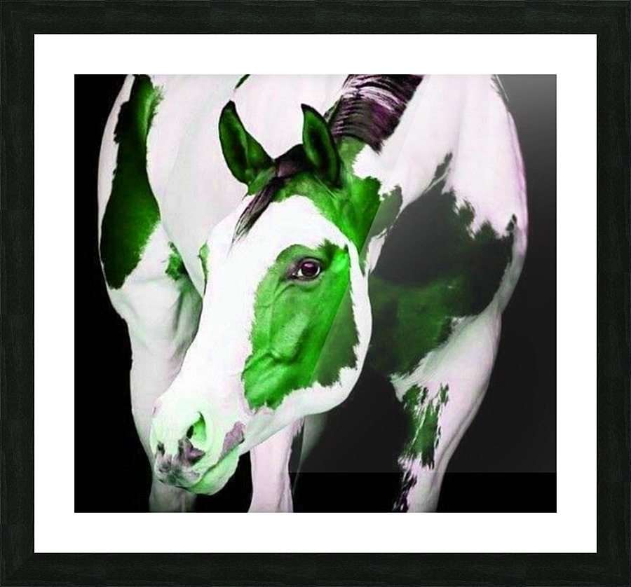 Painted Horse Picture Frame print