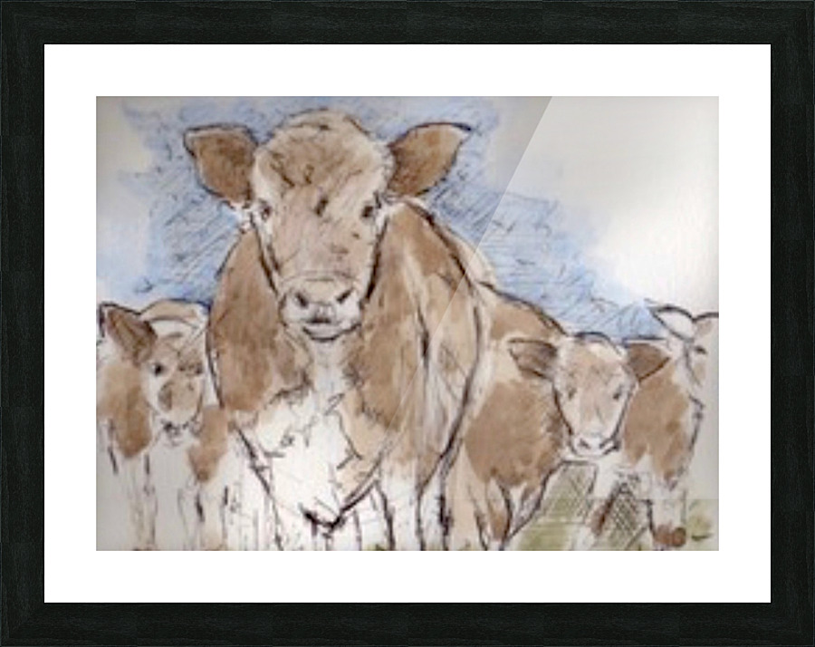 Normandy Cows  Picture Frame print