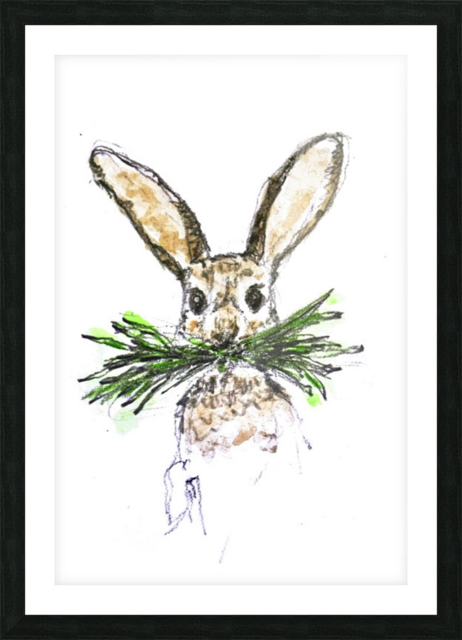 Rabbit Munching away  Picture Frame print