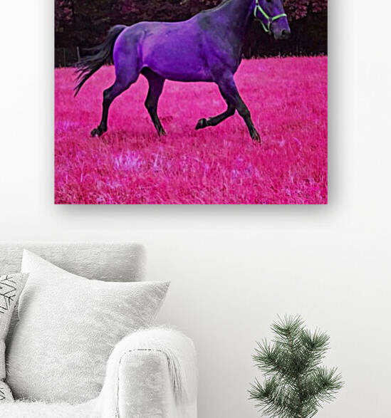 PePere French Pink Racing Bay Trotter by LeGustavienne