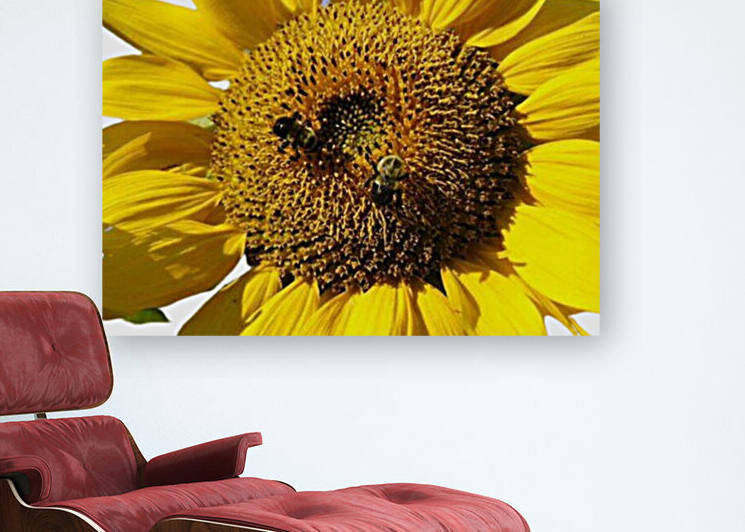 Sunflowers In France by LeGustavienne