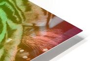 Rainbow Tiger HD Metal print