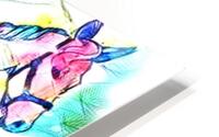 Rainbow Horse  HD Metal print