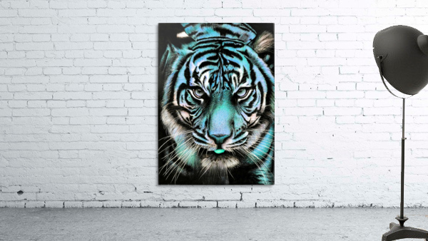 Tiger Blue Wall Preview