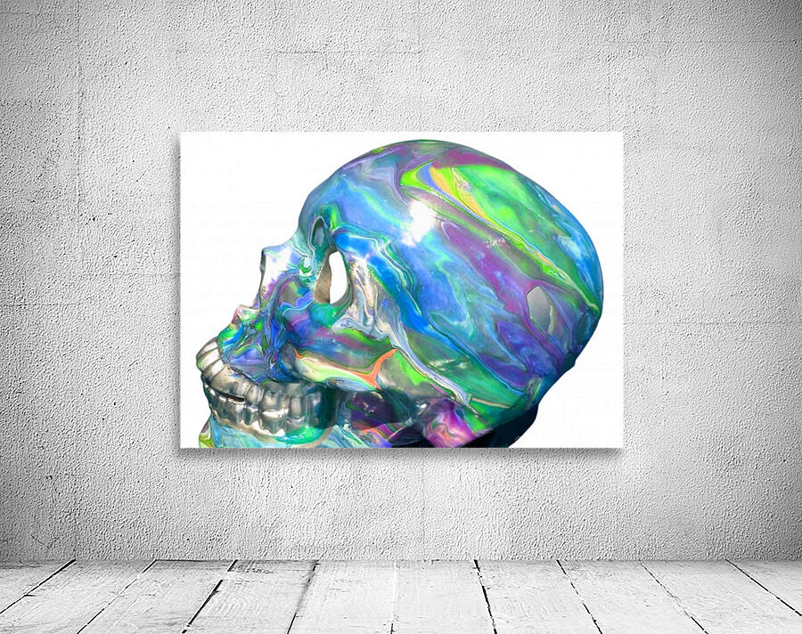 Frozen Skull Wall Preview