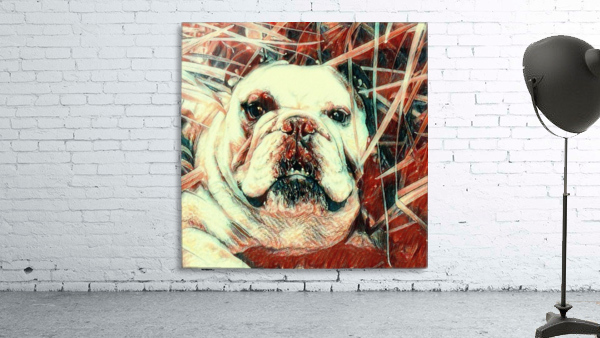 Red Snoop Dog Wall Preview