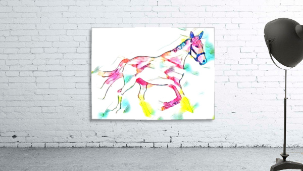 Rainbow Horse  Wall Preview