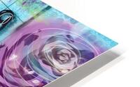 Purple Rose HD Metal print