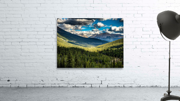 Alberta Wall Preview
