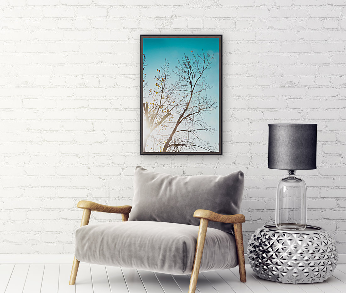 Sunshine Through the Trees Reproduction
