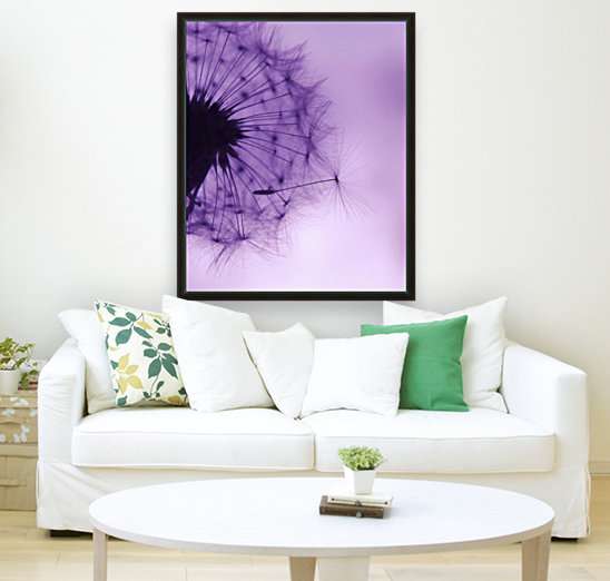 Purple Dandelion Reproduction