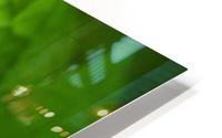 Green Leaf HD Metal print