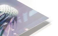 Falling Dandelions HD Metal print