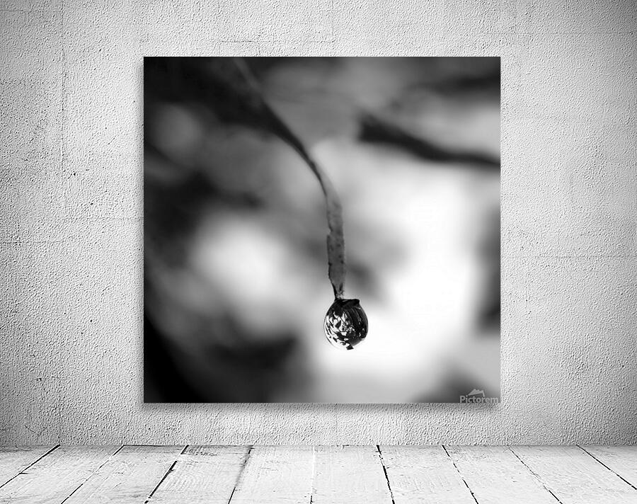 One Drop Wall Preview